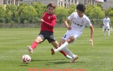 球盟会官网-中国职业篮球体系解析：CBA在全国各地的影响力